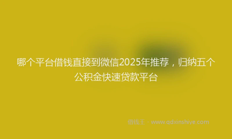 哪个平台借钱直接到微信2025年推荐，归纳五个公积金快速贷款平台