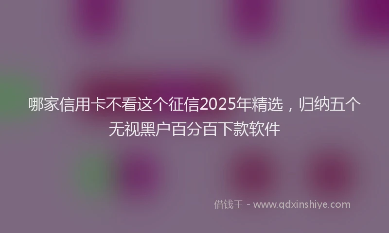哪家信用卡不看这个征信2025年精选，归纳五个无视黑户百分百下款软件