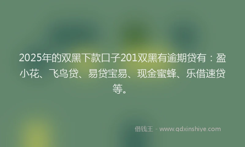 2025年的双黑下款口子201双黑有逾期贷有：盈小花、飞鸟贷、易贷宝易、现金蜜蜂、乐借速贷等。