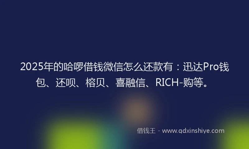 2025年的哈啰借钱微信怎么还款有：迅达Pro钱包、还呗、榕贝、喜融信、RICH-购等。