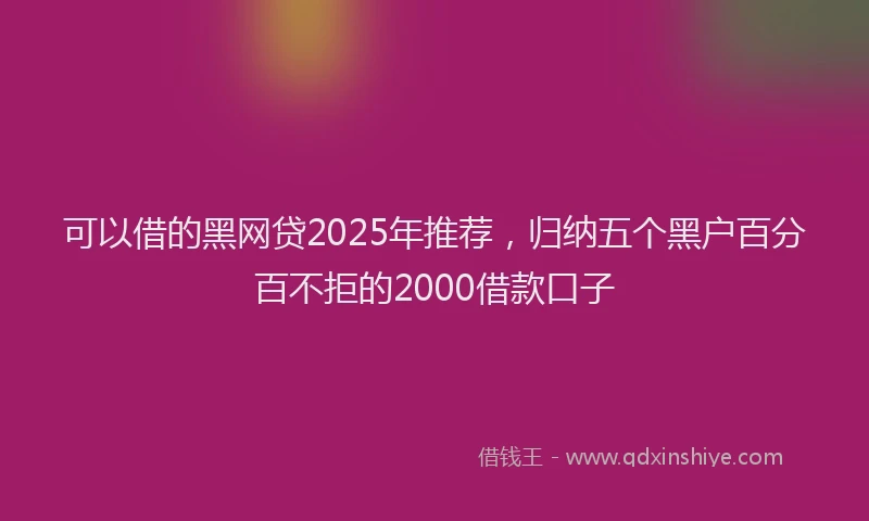 可以借的黑网贷2025年推荐，归纳五个黑户百分百不拒的2000借款口子