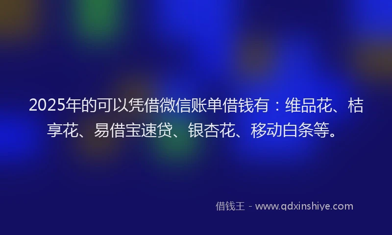 2025年的可以凭借微信账单借钱有：维品花、桔享花、易借宝速贷、银杏花、移动白条等。
