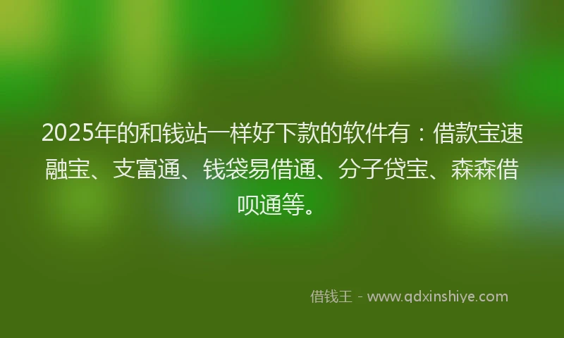 2025年的和钱站一样好下款的软件有：借款宝速融宝、支富通、钱袋易借通、分子贷宝、森森借呗通等。