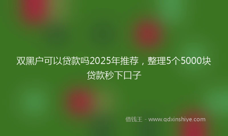 双黑户可以贷款吗2025年推荐，整理5个5000块贷款秒下口子