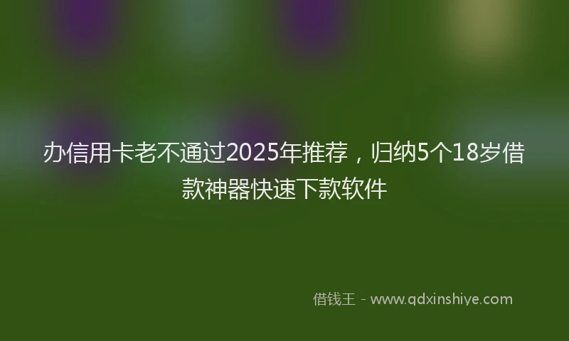 办信用卡老不通过2025年推荐，归纳5个18岁借款神器快速下款软件