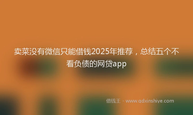 卖菜没有微信只能借钱2025年推荐，总结五个不看负债的网贷app