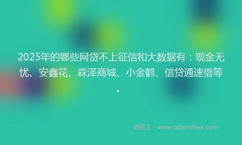 2025年的哪些网贷不上征信和大数据有：现金无忧、安鑫花、森泽商城、小金鹤、信贷通速借等。