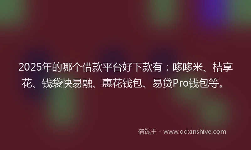 2025年的哪个借款平台好下款有：哆哆米、桔享花、钱袋快易融、惠花钱包、易贷Pro钱包等。