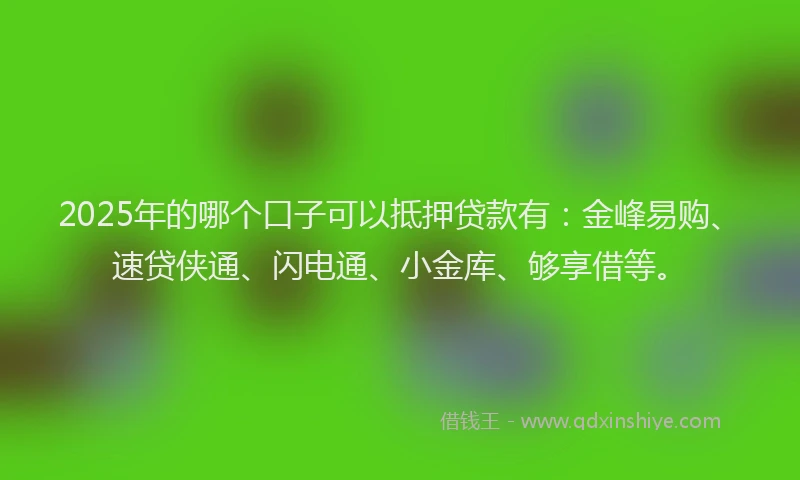 2025年的哪个口子可以抵押贷款有：金峰易购、速贷侠通、闪电通、小金库、够享借等。