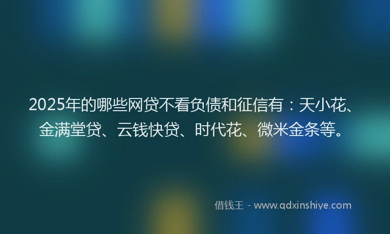 2025年的哪些网贷不看负债和征信有：天小花、金满堂贷、云钱快贷、时代花、微米金条等。