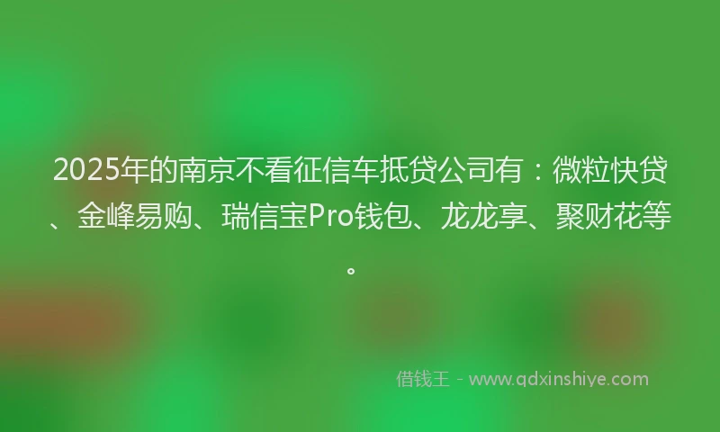 2025年的南京不看征信车抵贷公司有：微粒快贷、金峰易购、瑞信宝Pro钱包、龙龙享、聚财花等。