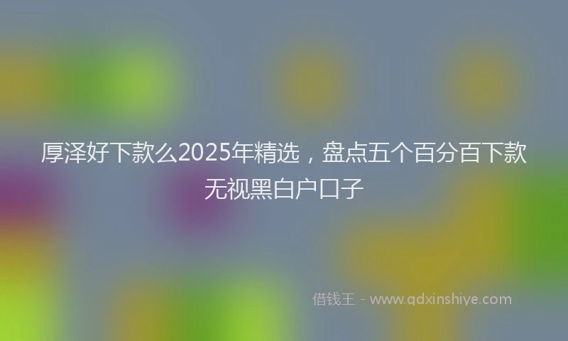 厚泽好下款么2025年精选，盘点五个百分百下款无视黑白户口子