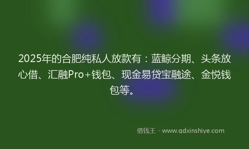 2025年的合肥纯私人放款有：蓝鲸分期、头条放心借、汇融Pro+钱包、现金易贷宝融途、金悦钱包等。