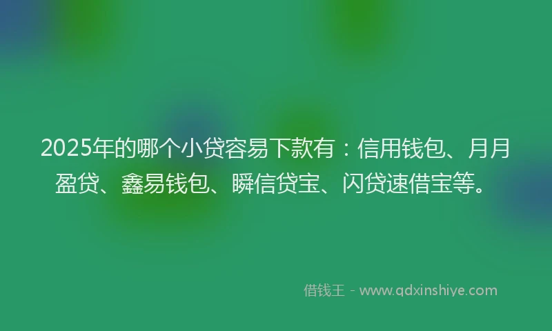2025年的哪个小贷容易下款有：信用钱包、月月盈贷、鑫易钱包、瞬信贷宝、闪贷速借宝等。