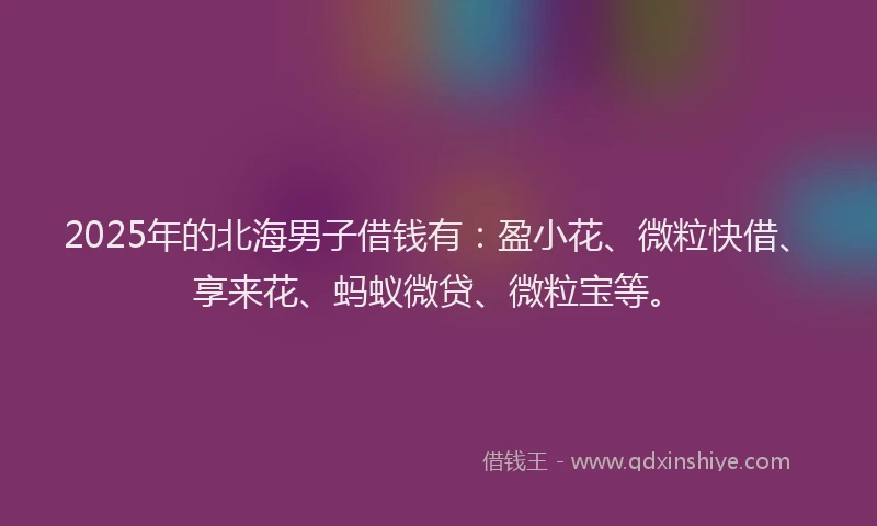 2025年的北海男子借钱有：盈小花、微粒快借、享来花、蚂蚁微贷、微粒宝等。