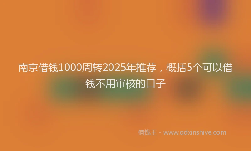 南京借钱1000周转2025年推荐，概括5个可以借钱不用审核的口子