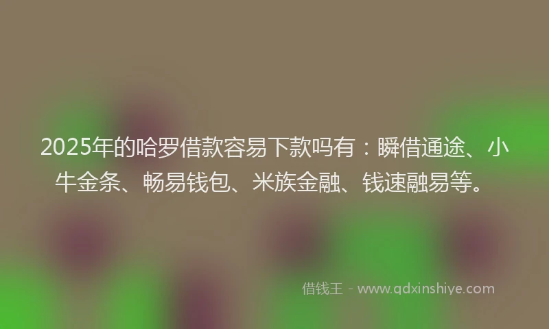 2025年的哈罗借款容易下款吗有：瞬借通途、小牛金条、畅易钱包、米族金融、钱速融易等。