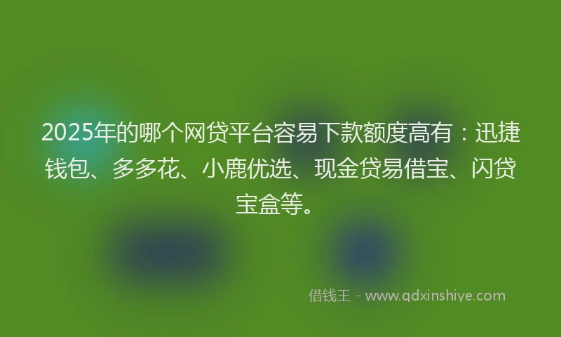 2025年的哪个网贷平台容易下款额度高有：迅捷钱包、多多花、小鹿优选、现金贷易借宝、闪贷宝盒等。