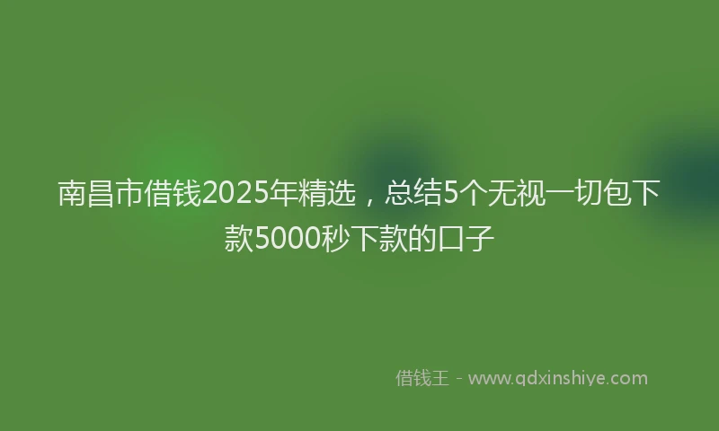 南昌市借钱2025年精选，总结5个无视一切包下款5000秒下款的口子