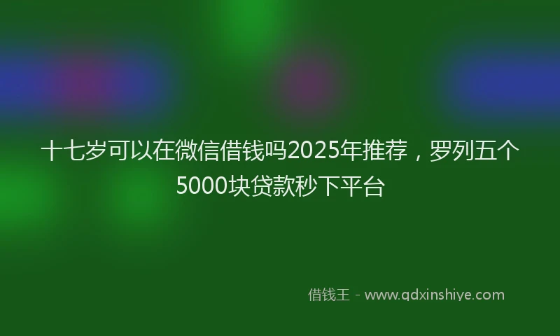 十七岁可以在微信借钱吗2025年推荐，罗列五个5000块贷款秒下平台