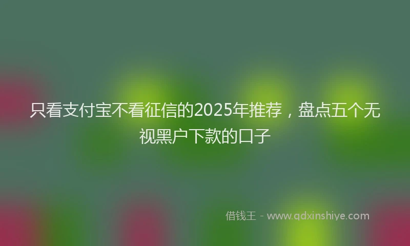 只看支付宝不看征信的2025年推荐，盘点五个无视黑户下款的口子