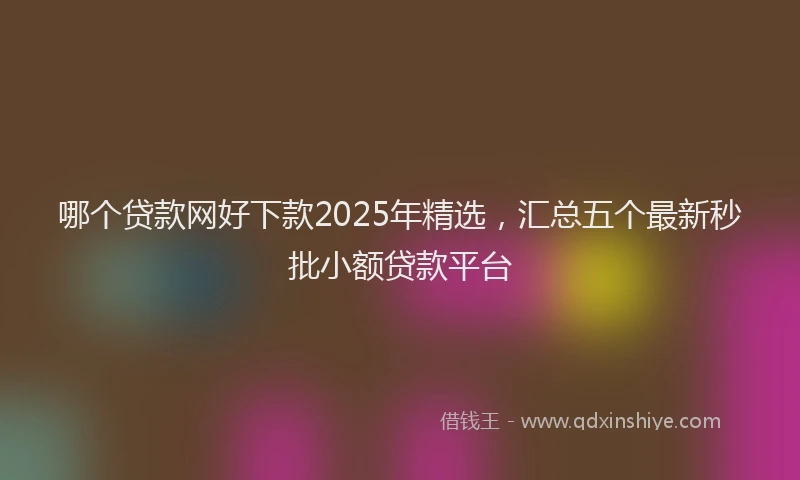 哪个贷款网好下款2025年精选，汇总五个最新秒批小额贷款平台