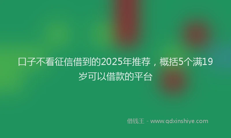 口子不看征信借到的2025年推荐，概括5个满19岁可以借款的平台