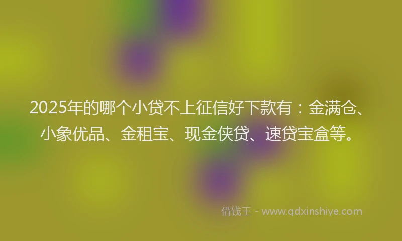 2025年的哪个小贷不上征信好下款有：金满仓、小象优品、金租宝、现金侠贷、速贷宝盒等。