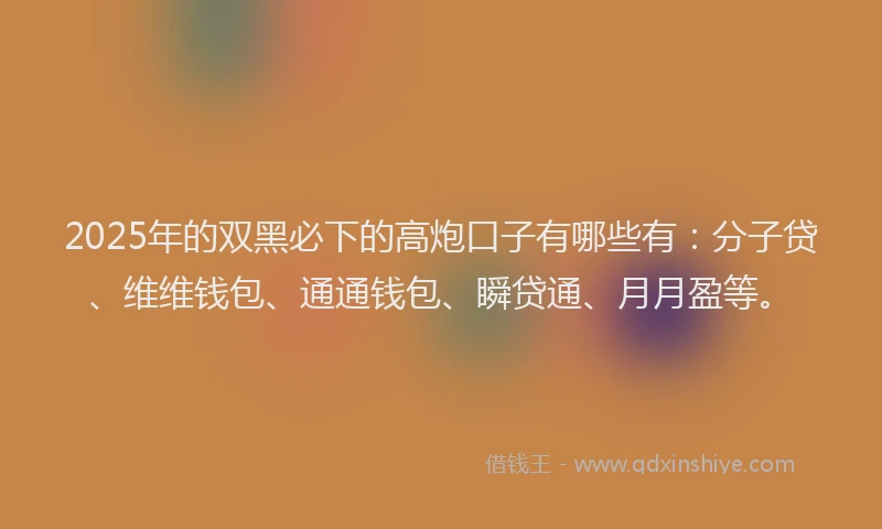 2025年的双黑必下的高炮口子有哪些有：分子贷、维维钱包、通通钱包、瞬贷通、月月盈等。