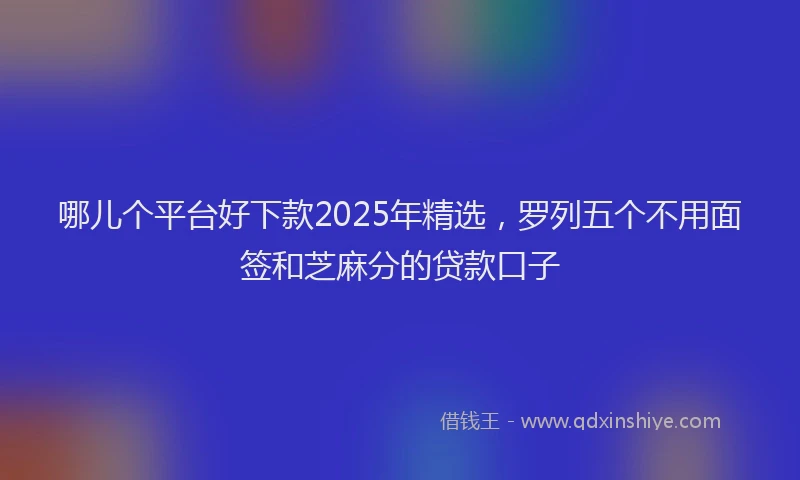 哪儿个平台好下款2025年精选，罗列五个不用面签和芝麻分的贷款口子