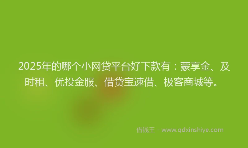 2025年的哪个小网贷平台好下款有：蒙享金、及时租、优投金服、借贷宝速借、极客商城等。