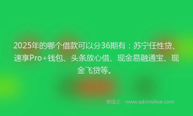 2025年的哪个借款可以分36期有：苏宁任性贷、速享Pro+钱包、头条放心借、现金易融通宝、现金飞贷等。