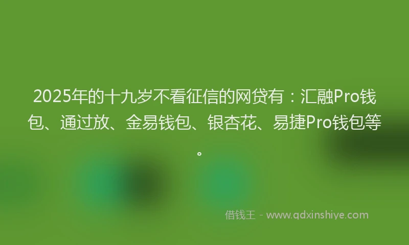 2025年的十九岁不看征信的网贷有：汇融Pro钱包、通过放、金易钱包、银杏花、易捷Pro钱包等。