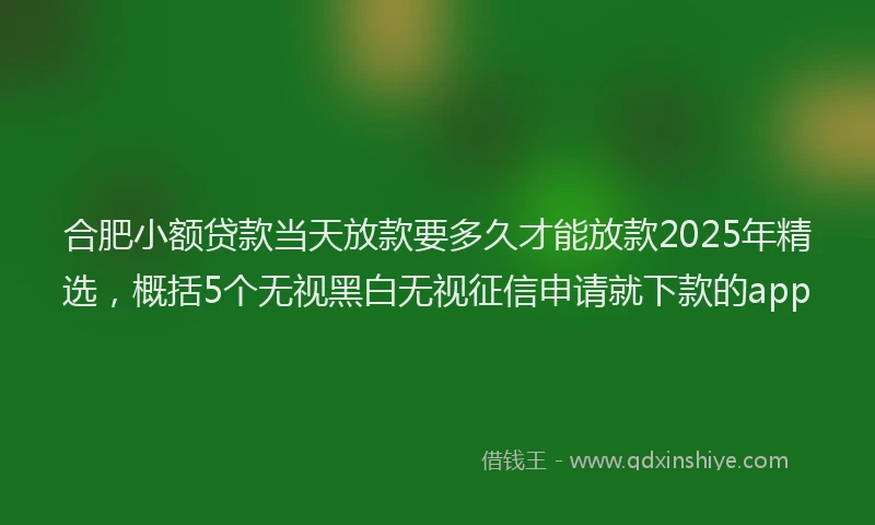 合肥小额贷款当天放款要多久才能放款2025年精选，概括5个无视黑白无视征信申请就下款的app