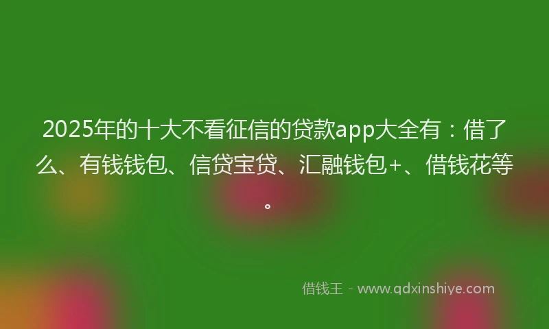 2025年的十大不看征信的贷款app大全有：借了么、有钱钱包、信贷宝贷、汇融钱包+、借钱花等。