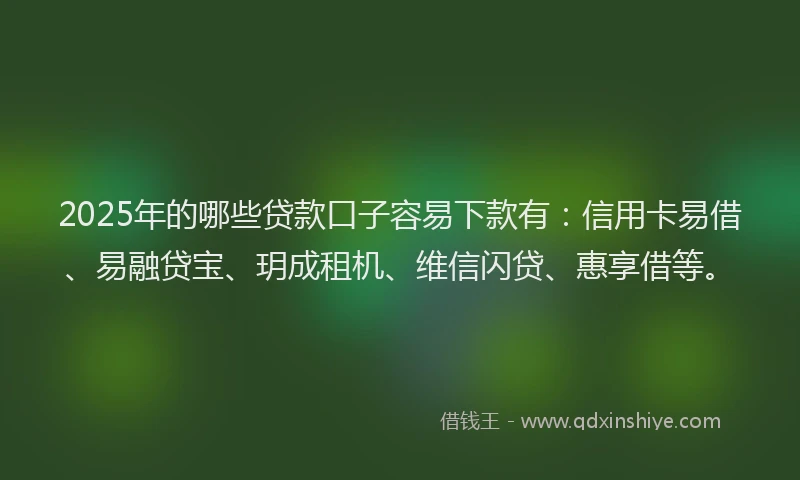 2025年的哪些贷款口子容易下款有：信用卡易借、易融贷宝、玥成租机、维信闪贷、惠享借等。