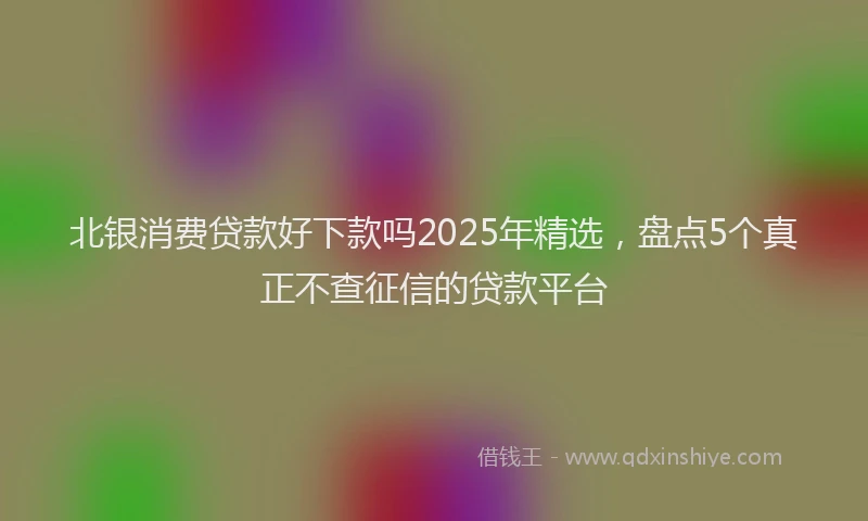 北银消费贷款好下款吗2025年精选，盘点5个真正不查征信的贷款平台