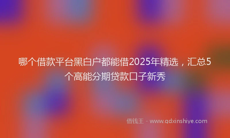 哪个借款平台黑白户都能借2025年精选，汇总5个高能分期贷款口子新秀