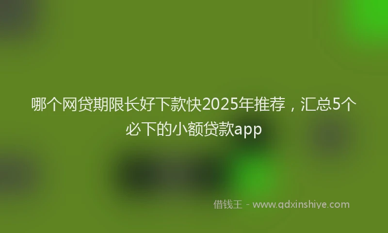 哪个网贷期限长好下款快2025年推荐，汇总5个必下的小额贷款app