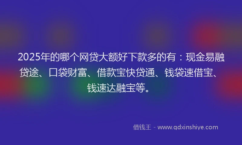 2025年的哪个网贷大额好下款多的有：现金易融贷途、口袋财富、借款宝快贷通、钱袋速借宝、钱速达融宝等。