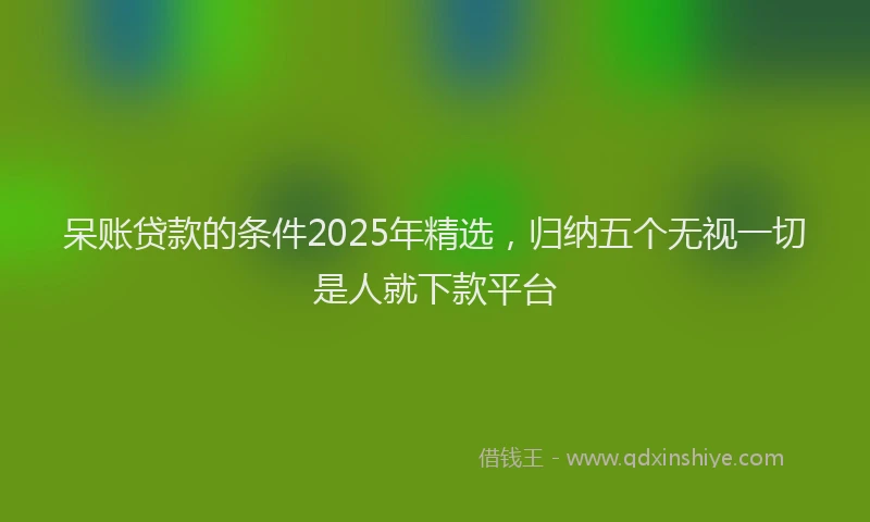 呆账贷款的条件2025年精选，归纳五个无视一切是人就下款平台
