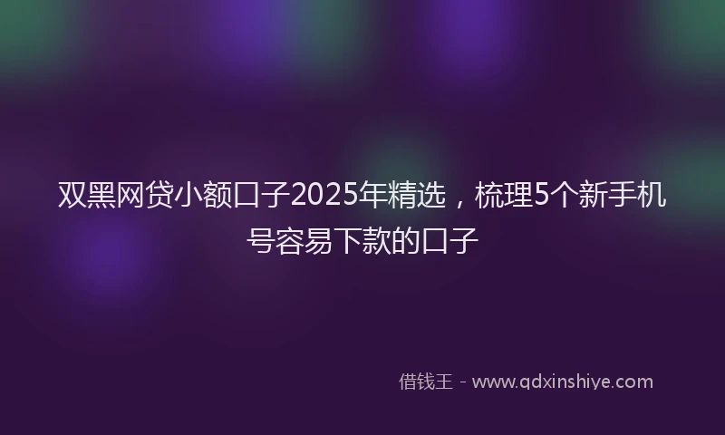 双黑网贷小额口子2025年精选，梳理5个新手机号容易下款的口子