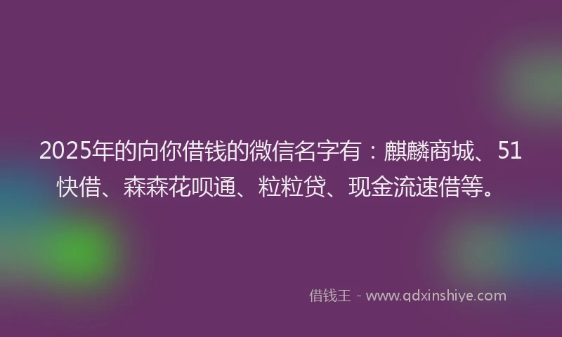 2025年的向你借钱的微信名字有：麒麟商城、51快借、森森花呗通、粒粒贷、现金流速借等。