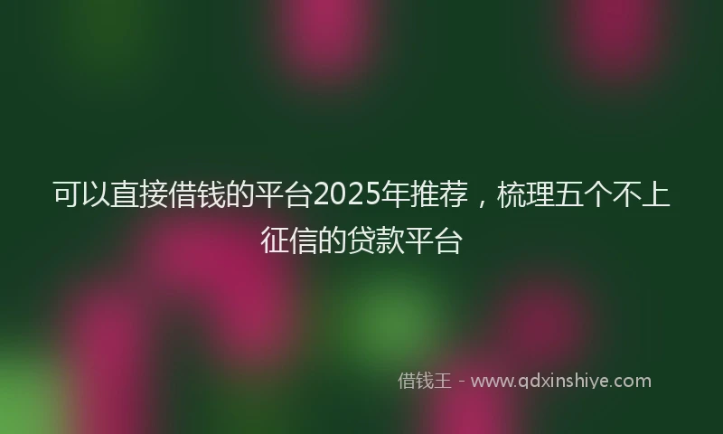 可以直接借钱的平台2025年推荐，梳理五个不上征信的贷款平台