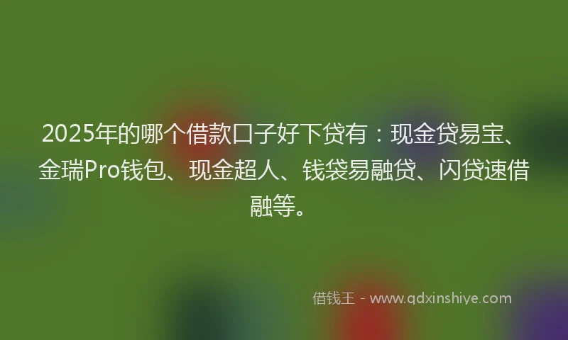 2025年的哪个借款口子好下贷有：现金贷易宝、金瑞Pro钱包、现金超人、钱袋易融贷、闪贷速借融等。