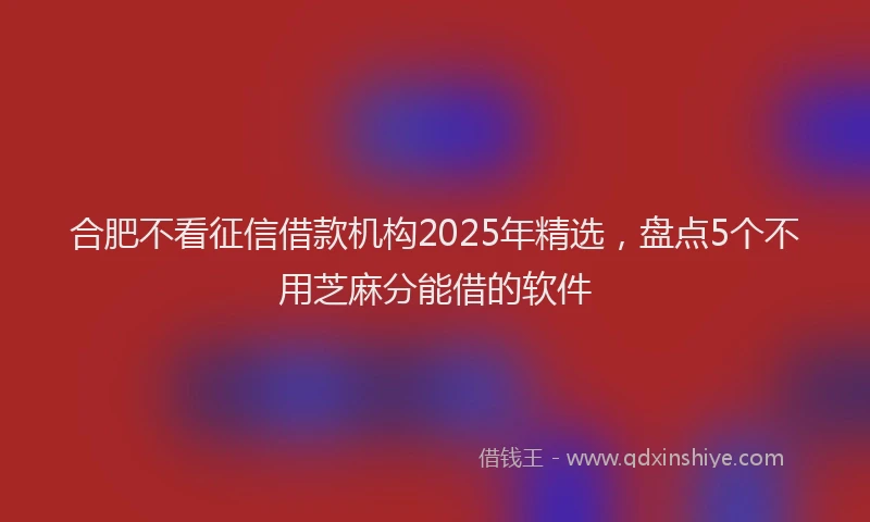 合肥不看征信借款机构2025年精选，盘点5个不用芝麻分能借的软件