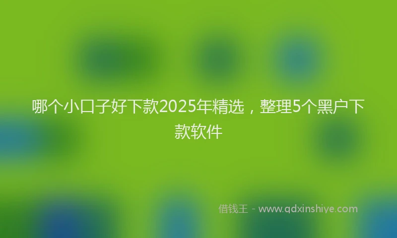 哪个小口子好下款2025年精选，整理5个黑户下款软件