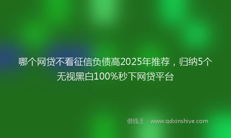 哪个网贷不看征信负债高2025年推荐，归纳5个无视黑白100%秒下网贷平台