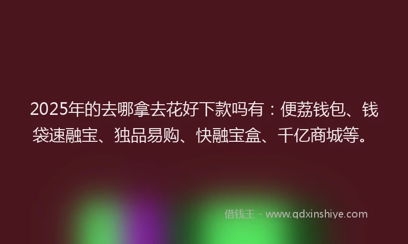 2025年的去哪拿去花好下款吗有：便荔钱包、钱袋速融宝、独品易购、快融宝盒、千亿商城等。