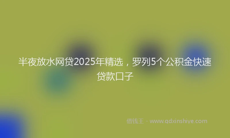 半夜放水网贷2025年精选，罗列5个公积金快速贷款口子
